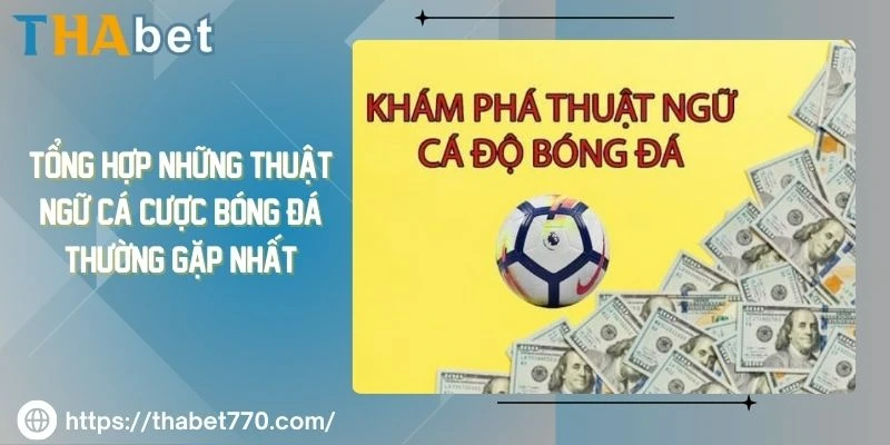 Tổng hợp những thuật ngữ cá cược bóng đá thường gặp nhất