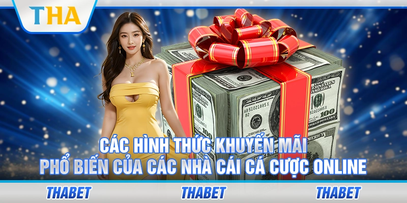 Các Hình Thức Khuyến Mãi Phổ Biến Của Các Nhà Cái Cá Cược Online