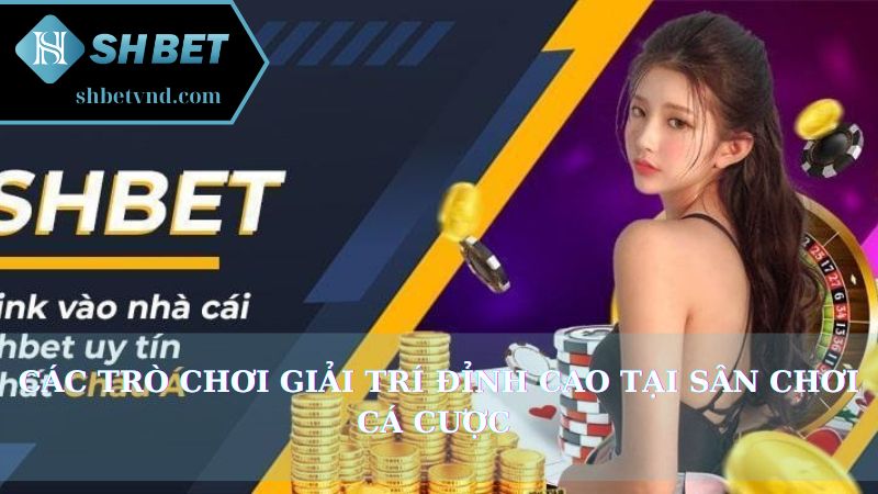 Các trò chơi giải trí đỉnh cao tại sân chơi cá cược 